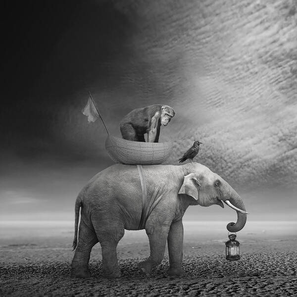 Elephant with a Monkey and Lantern Wall Art