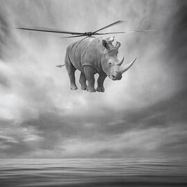 ... by Beata Bieniak