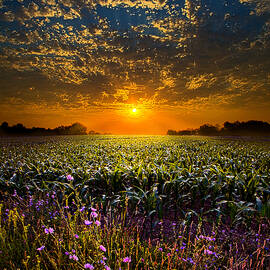 A New Day by Phil Koch