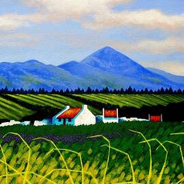 Croagh Patrick County Mayo by John  Nolan