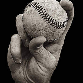 Fastball by Diane Diederich