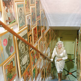 Mansfield At Home by Allan Grant