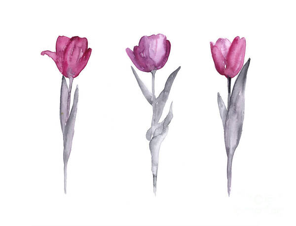 Three Elegant Tulips Wall Art