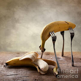 Encounter by Nailia Schwarz