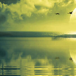 Fullmoon over the ocean by Jaroslaw Grudzinski