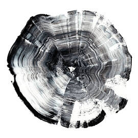 Tree Ring Abstract I by Ethan Harper