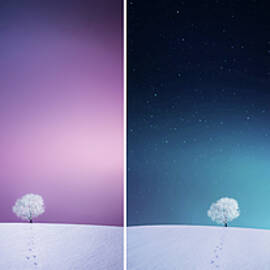 Winter Tree by Bess Hamiti