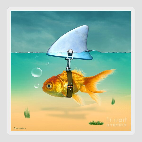 Goldfish with Shark Fin Sticker