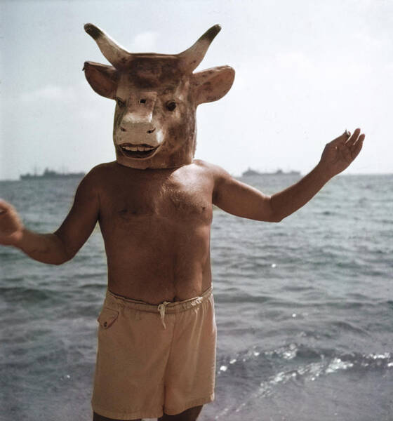 Bull Mask on a Beach Wall Art
