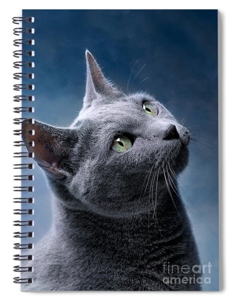 Gray Cat with Green Eyes Spiral Notebook