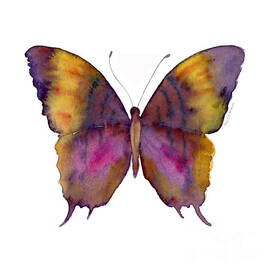 99 Marcella Daggerwing Butterfly by Amy Kirkpatrick