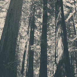 A Breath of Fresh Air by Laurie Search