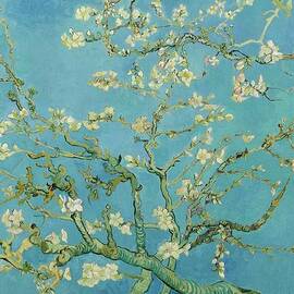 Almond blossom by Vincent van Gogh