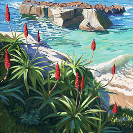 Aloes Peeking from Shadows by Steve Simon