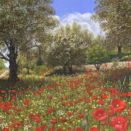 Andalucian Poppies by Richard Harpum