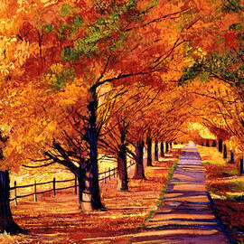 Autumn in Vermont by David Lloyd Glover