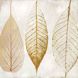 Autumn Leaves III Fallen Gold by Mindy Sommers