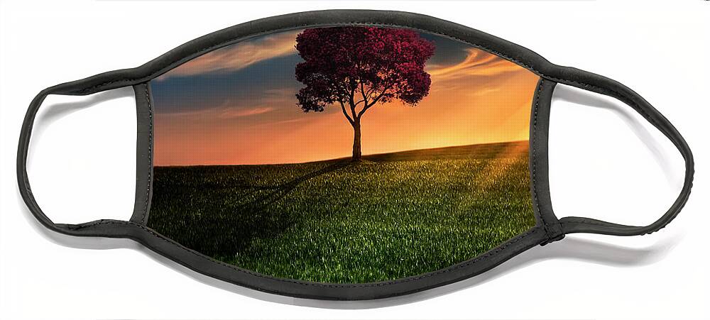 Sunset Face Masks for Sale