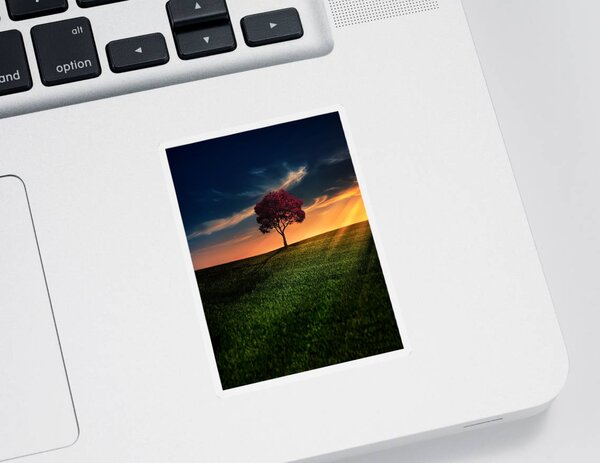 Sunset Stickers for Sale