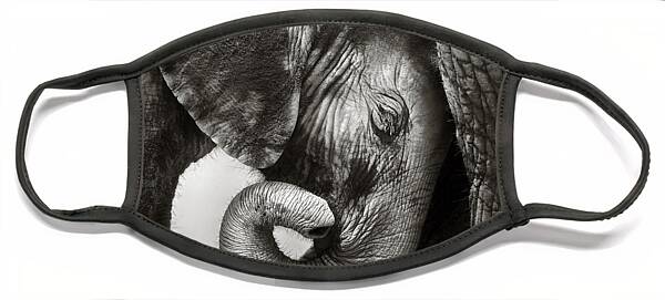 Tender Elephants Embrace Face Mask