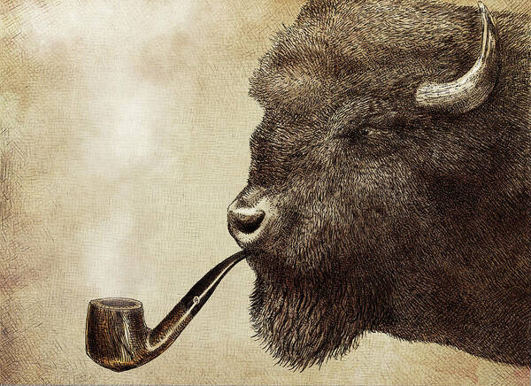 Bison Sporting a Pipe Wall Art