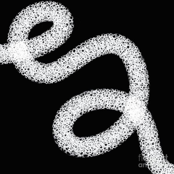 Intricate White Spiral on Black Wall Art