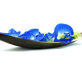 Blue Flower Boat by Aged Pixel