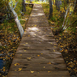 Boardwalk over Convict Creek by Ralph Vazquez