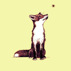 Brown Fox Looks at Thing by Nicholas Ely