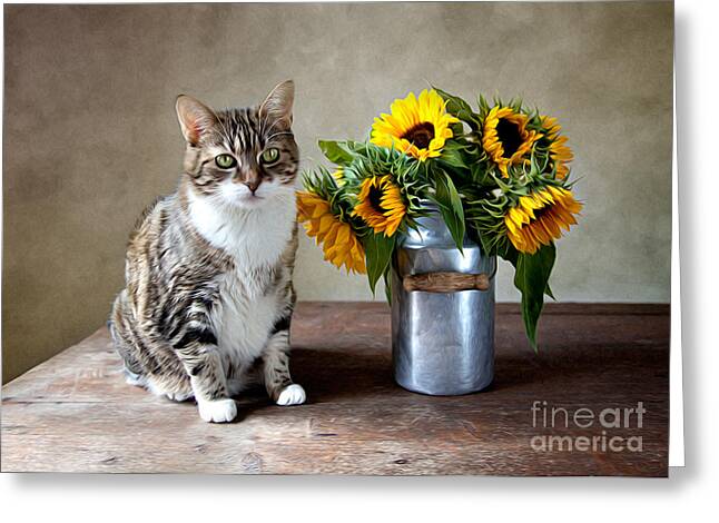 Cat and Sunflowers Still Life Greeting Card