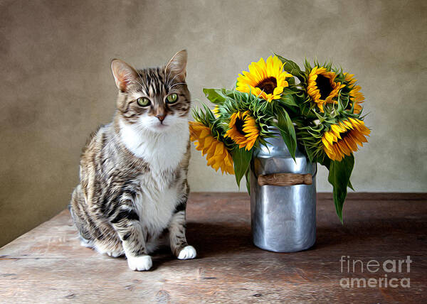 Cat and Sunflowers Still Life Wall Art