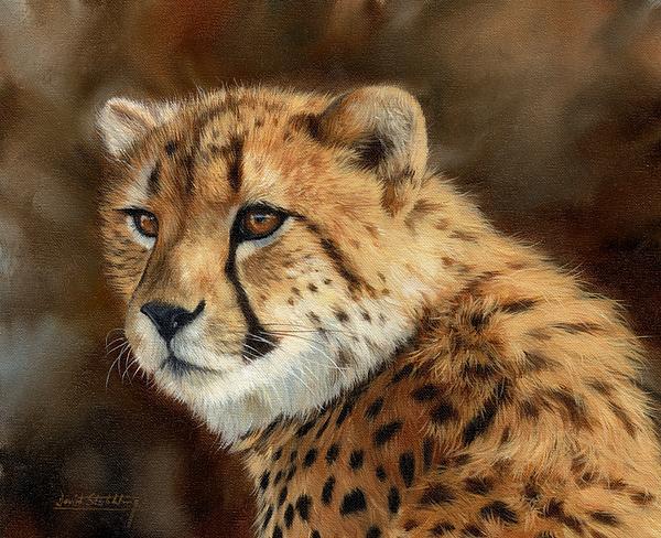 Cheetahs Art for Sale
