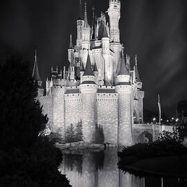 Cinderella's Castle Reflection Black and White by Adam Romanowicz