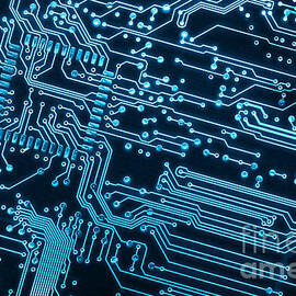 Circuit Board by Carlos Caetano