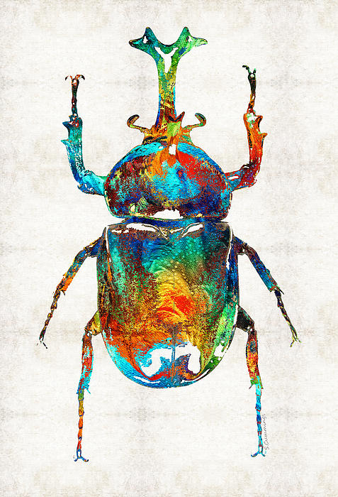 Beetle Art for Sale