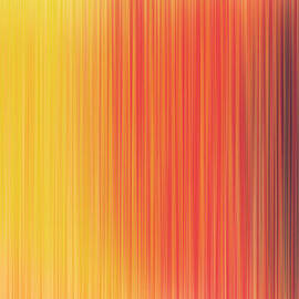 Colorful fibres by Neelanjana Bandyopadhyay