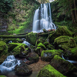 Concede by Ryan Weddle