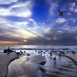 Corona del Mar by Sean Foster