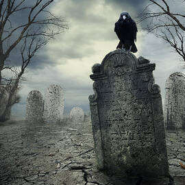 Crow on the tombstone. Halloween design. by Jelena Jovanovic