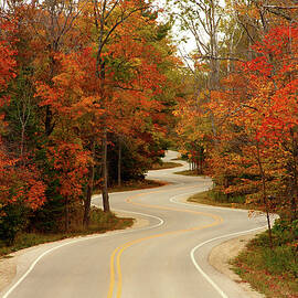 Curvy Fall by Adam Romanowicz