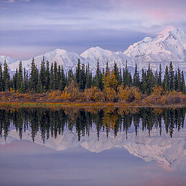 Denali Reflection by Michael Zheng
