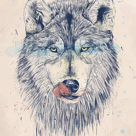 Dinner time by Balazs Solti