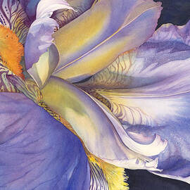 Diva Divine by Sandy Haight