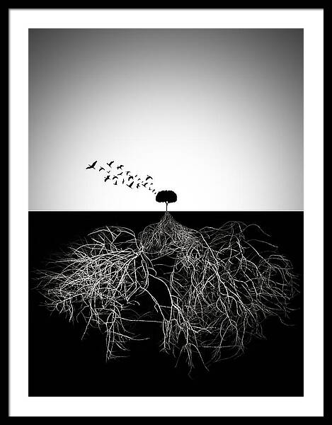 Tree with Expansive Roots and Birds Framed Print