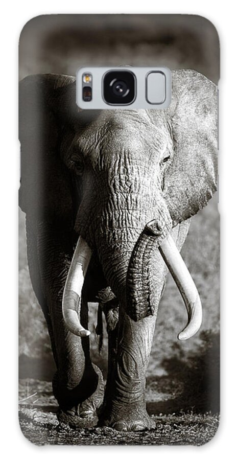 Majestic Elephant in the Wild Galaxy Case