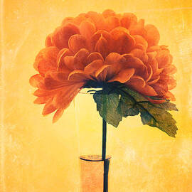 Estillo - 01i2t03 by Variance Collections