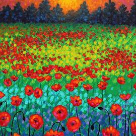 Evening Poppies by John  Nolan