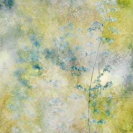 Everything by Delphine Devos