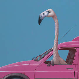 Flamingo by Jasper Oostland