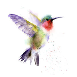 Flying Hummingbird by Olga Tchefranov